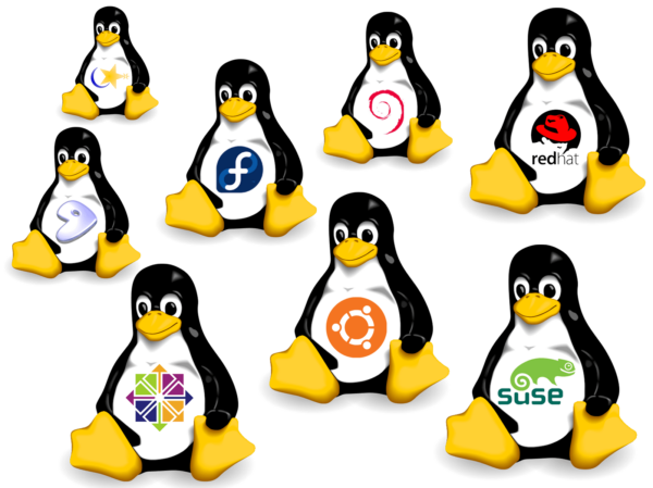Linux